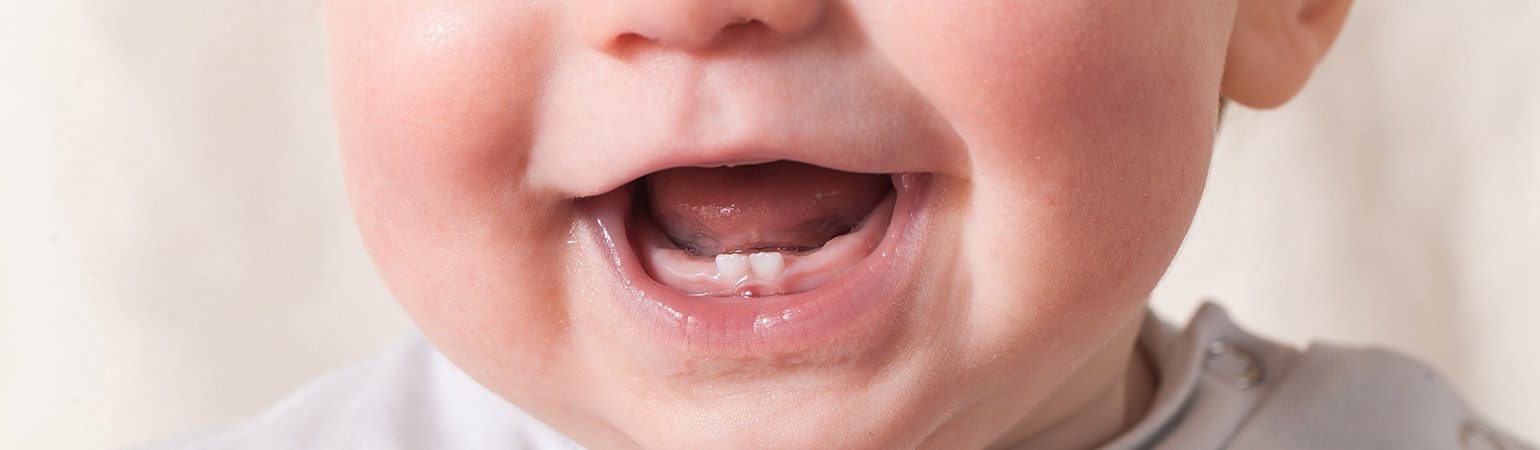 Bebeklerde Diş Çıkarma Eti Cicibebe